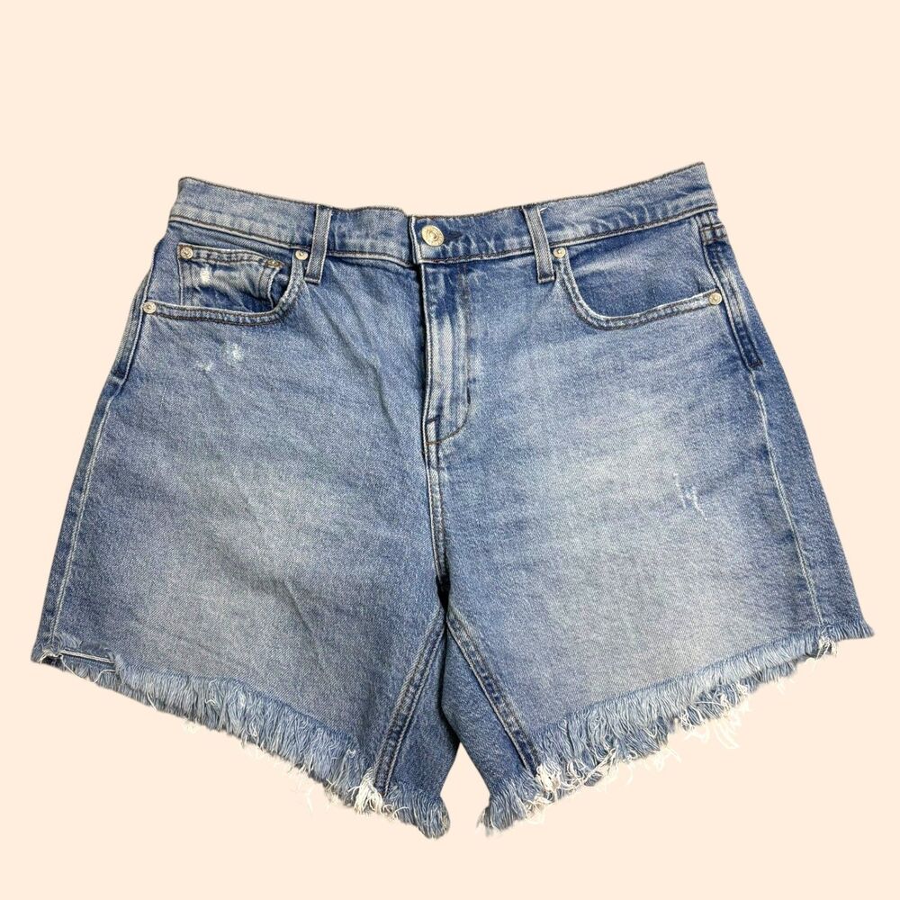 AYR Day Off Jean Shorts